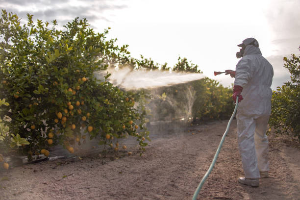 Best Mosquito Control Services  in Bladenboro, NC