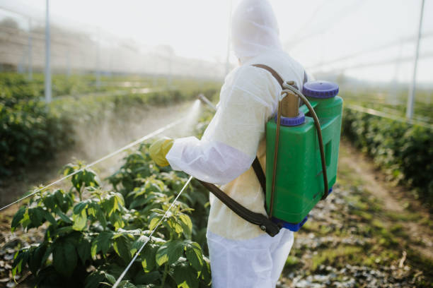 Best Local Pest Control Services  in Bladenboro, NC